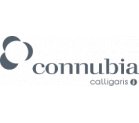 Connubia by calligaris